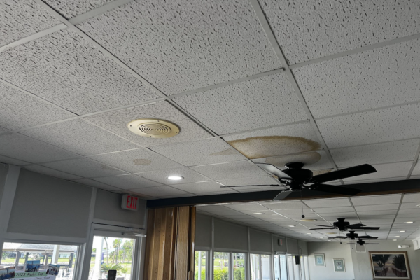water-mitigation-and-mold-orlando-tampa-ft-myers