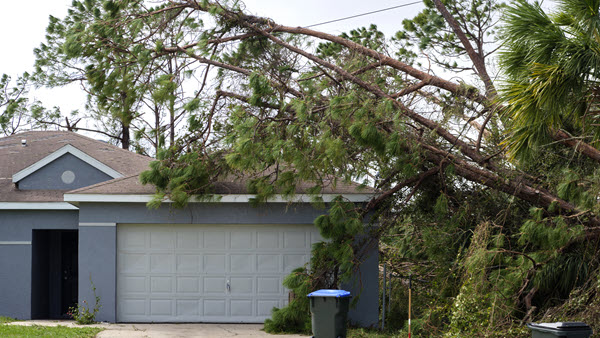 step-by-step-guide-to-dealing-with-roof-damage-caused-by-a-hurricane-in-swfl